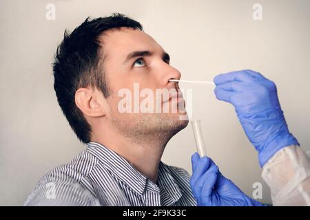 el médico toma una muestra de la prueba de moco nasal de la nariz masculina realizando un procedimiento de prueba del virus respiratorio. Comprobación de la cavidad nasal en el ENT. Polímero PCR Foto de stock