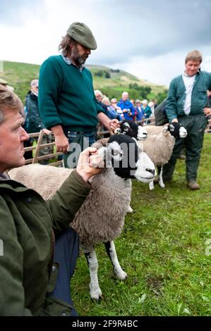 Los agricultores de Muker muestran ovejas en Swaledale. Parque Nacional Yorkshire Dales, 2009. Foto de stock