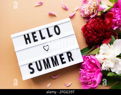 Caja de luz con texto Hello Summer y flores peonías encendido fondo marrón Foto de stock