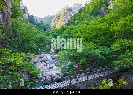 Senderismo hacia el pico Daecheongbong en el parque nacional de Seoraksan Foto de stock