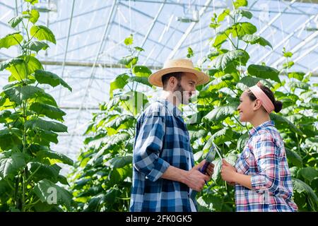 felices agricultores interraciales con tableta digital y portapapeles hablando en invernadero Foto de stock