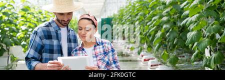 sonriendo granjeros interraciales mirando la tableta digital en el invernadero, bandera Foto de stock