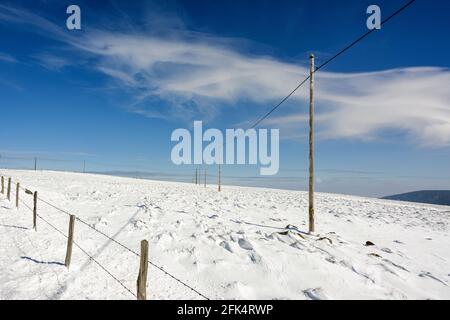 Polos eléctricos rurales durante el invierno en Auvernia, Francia Foto de stock