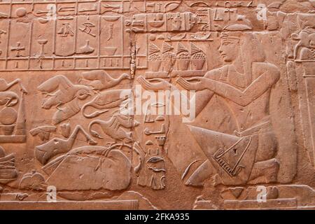 Tallada piedra arenisca de faraón y jeroglíficos en la pared en el Templo de Karnak, Luxor, Egipto Foto de stock