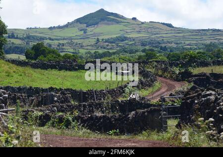 Carreteras rurales en la isla de Pico, archipiélago de las Azores Foto de stock