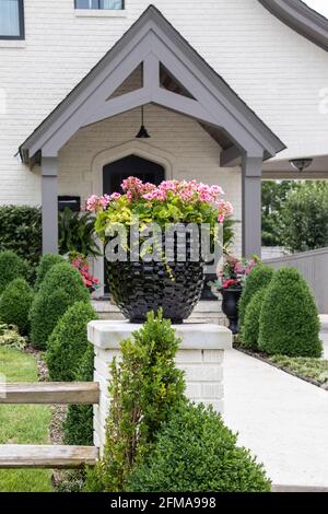 Hermosa olla de geranios rosa sentado en un puesto de cerca frente a una casa de ladrillo pintado de blanco y cuidadosamente ajardinada entrada con más macetas de flores a Foto de stock
