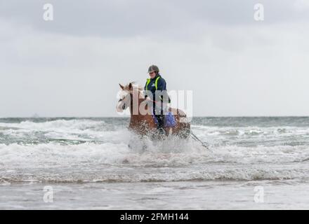 Irvine, Escocia, Reino Unido. 9th de mayo de 2021. Clima en el Reino Unido: Caballo y jinete en las olas en Irvine Beach. Crédito: Skully/Alamy Live News Foto de stock