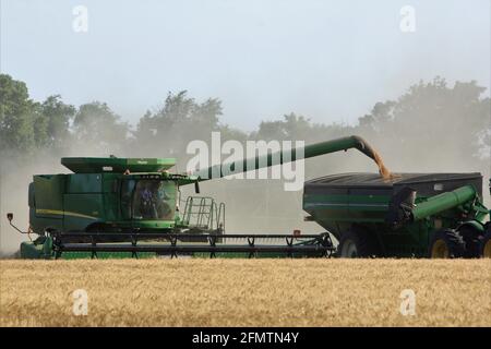 John Deere combina el corte de trigo con el polvo de trigo en el aire en un campo agrícola en el país de Kansas.