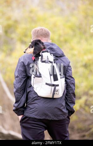 Mochila para perro discount salchicha