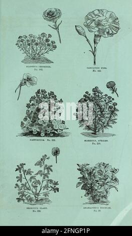Washburn & Co. La guía del cultivador aficionado al jardín de la flor y de la cocina Boston, Massachusetts :The Company,1876.