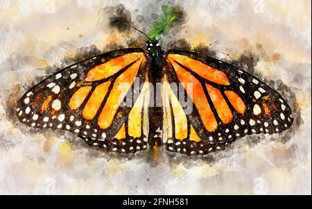 Ilustración acuarela de mariposa monarca exotical (Danaus plexippus).