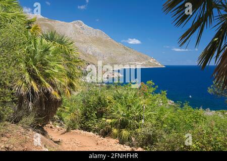 Reserva Natural de Zingaro, Trapani, Sicilia, Italia. Vista a lo largo de la costa del Golfo de Castellammare desde la pista de arena, palmeras abanicos europeos prominentes.