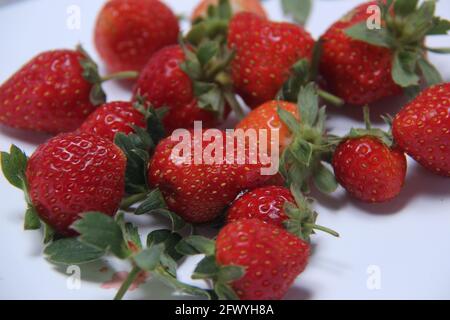 https://l450v.alamy.com/450ves/2fwyh8a/recogida-de-fresas-rojas-frescas-aisladas-sobre-fondo-blanco-fruta-fresca-cosechada-lista-para-ser-vendida-en-el-mercado-detalle-patron-de-bayas-2fwyh8a.jpg