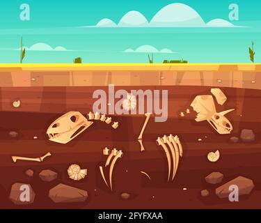 Dinosaurios cráneos, huesos de esqueleto reptil, moluscos antiguos conchas en el suelo capas profundas cruz sección caricatura vector ilustración. Historia de la vida o