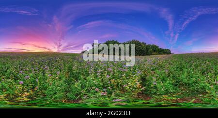 Vista panorámica en 360 grados de Campos llenos de color al atardecer en Nottinghamshire, Inglaterra.