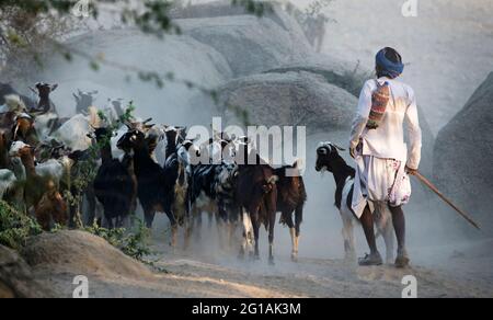 La imagen del hombre pastor o rabari fue tomada en Bera, Rajasthan, India, Asia Foto de stock