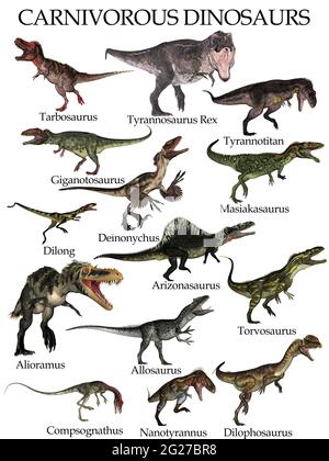 Colección de dinosaurios carnívoros, aislados sobre fondo blanco. Foto de stock
