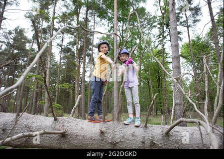 Un hermano y una hermana se paran en un árbol caído mientras usan cascos de ciclismo. Foto de stock