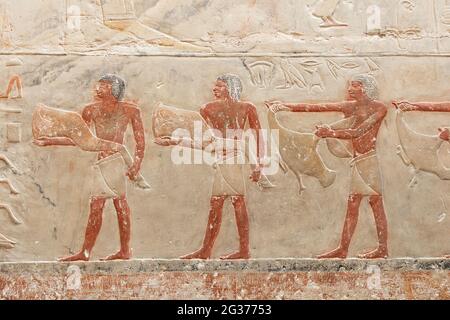 Jeroglíficos egipcios en la antigua muralla de las pirámides. Foto de stock