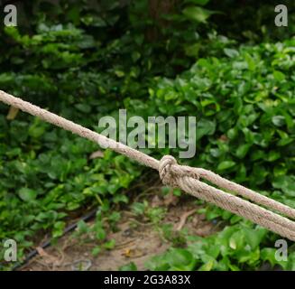 Parque de cuerdas en el parque - nudo de soga de cuerdas en el bosque