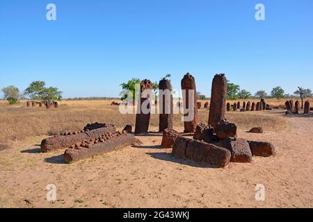 Gambia; Región del Río Central; Círculos de Piedra cerca de Wassu; que consisten en unos 200 megalitos Foto de stock