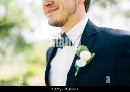 El novio está sonriendo en traje de boda con pajarita y boutonniere Foto de stock