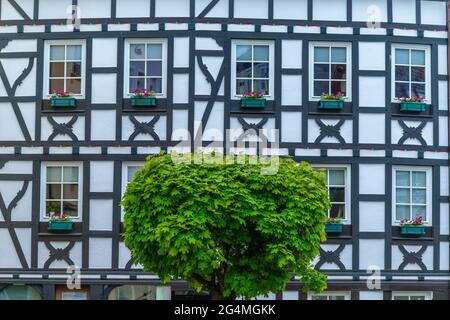 Histórico Linz en la Rine con coloridas casas de entramado de madera, Renania-Palatinado, Gemrany Foto de stock