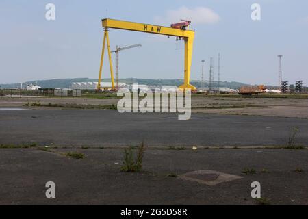 Una de las dos grúas de pórtico de construcción naval gemelas gigantes, construidas por Krupp y conocidas como Samson y Goliath, en el astillero Harland y Wolff en Belfast Foto de stock