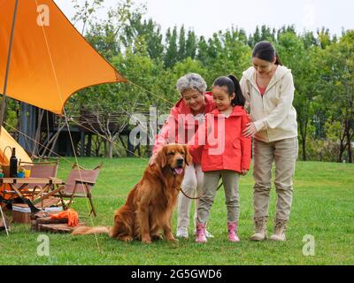 Felices abuelos y nietos juegan con su perro mascota en la foto de alta calidad del parque Foto de stock
