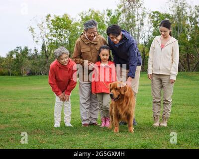 Feliz familia de cinco y perro mascota en el parque foto de alta calidad Foto de stock