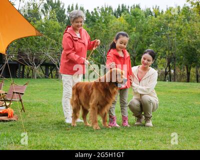 Felices abuelos y nietos juegan con su perro mascota en la foto de alta calidad del parque Foto de stock