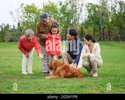 Feliz familia de cinco y perro mascota jugando en el parque foto de alta calidad Foto de stock