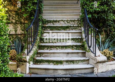Escaleras exteriores cubiertas de vegetación que a edificio o a una casa Fotografía de stock - Alamy