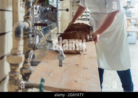 Una mujer panadero sacando panes del horno de panadería poniéndolos en una tabla Foto de stock