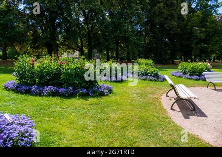 Dahlien öffentlichen Dahlien im Garten, in der avenida Lichtentaler Allee, Baden-Baden. Foto de stock