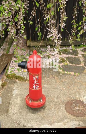 Hidrante rojo en la calle cerca del casco antiguo de Kakunodate, Japón. Sakura de fondo. Japonés significa 'hidrante de incendios'. Foto de stock