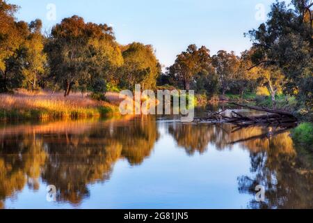 Aguas tranquilas del río Macquarie que fluyen entre campos pintorescos y árboles en la ciudad de Dubbo, Australia.