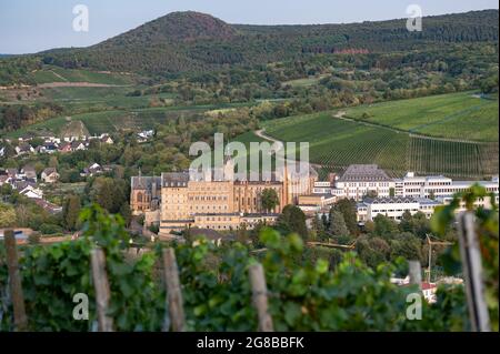Vista del valle de Ahr del monasterio de Calvarienberg en Ahrweiler, Renania-Pfalz, Alemania, vista desde la ruta de senderismo 'Rotweinwanderweg'. Foto de stock