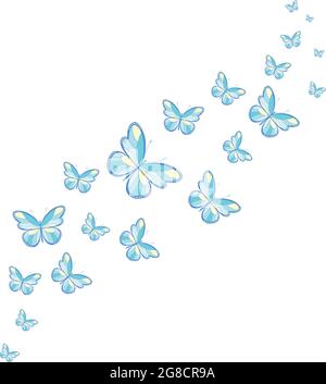 Un rebaño de mariposas voladoras. Decoración para una postal, embalaje,  página web. Ilustración vectorial Imagen Vector de stock - Alamy