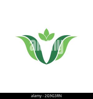 Letra V naturaleza verde logotipo icono vector plano concepto diseño gráfico Ilustración del Vector
