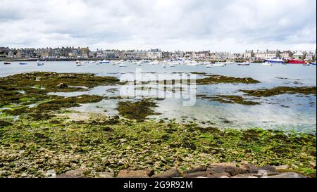 Puerto pesquero y náutico en marea baja, Barfleur, departamento de La Mancha, Cotentin, Normandía, Francia
