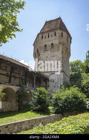 Torre a lo largo de la pared de piedra de la medieval, fortificada ciudad de Sighisoara en el río Tarnava en el condado de Mures; Sighisoara, Transilvania, Rumania Foto de stock