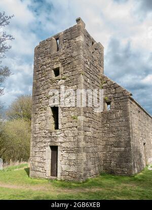 Las ruinas de la Colegiata del Castillo Semple, cerca de Lochwinnoch, Renfrewshire, Escocia. Fue fundada en 1504 por Juan, Señor Sempill.