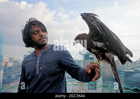 DHAKA CITY, BANGLADESH - 6 DE AGOSTO: Rafid, un residente de Nazira Bazar  en el Viejo Dhaka, ayuda a un águila a recuperarse con medicina, Rafid ha  instalado un pequeño aviario en