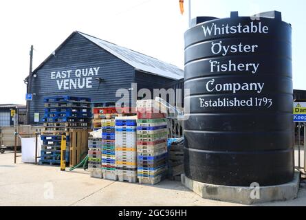 Whitstable Oyster Fishery Company en East Quay, en el norte de Kent, Reino Unido Foto de stock