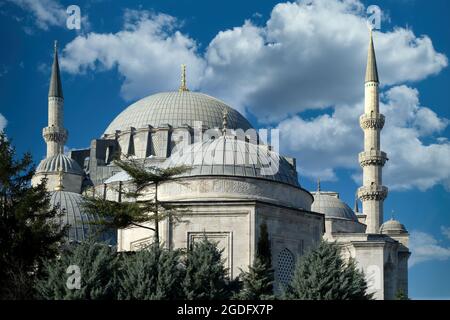 Detalle de la Mezquita de Suleymaniye, Estambul, Turquía Foto de stock