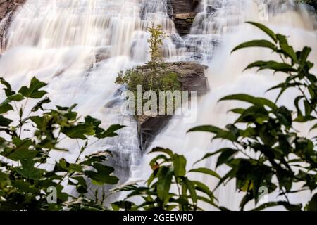 High Falls en DuPont State Recreational Forest - Cedar Mountain, cerca de Brevard, Carolina del Norte, Estados Unidos Foto de stock