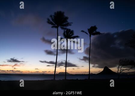 Espectacular salida del sol cerca de Kualoa Ranch, Kualoa Regional Park, con palmeras siluetas y la isla Mokoli'i (anteriormente conocida como el término anticuado 'Chinaman's Hat'), Oahu, Hawai, EE.UU Foto de stock