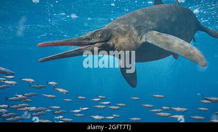 Ichtiosaurio nadando en el océano, extinto reptil marino desde el Triásico Temprano hasta el Cretácico Tardío, 3D representación de paleoarte Foto de stock