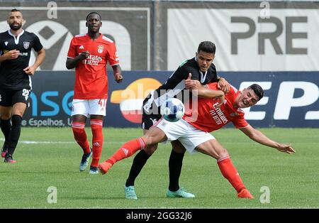 Lisboa 08 28 21 Esta Manana Casa Pia Ac Acogio A Sl Benfica B En El